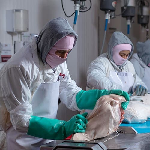 Contributors / Occupational health and safety