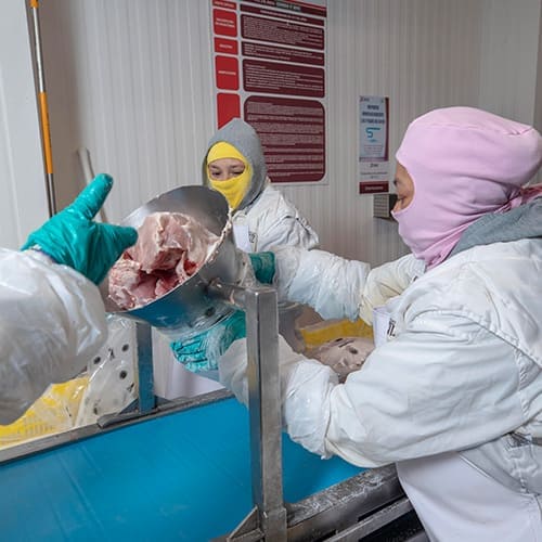 Environment / Responsible consumption of resources